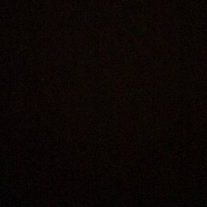 Meet your Posher, Darryl